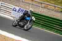 Vintage-motorcycle-club;eventdigitalimages;mallory-park;mallory-park-trackday-photographs;no-limits-trackdays;peter-wileman-photography;trackday-digital-images;trackday-photos;vmcc-festival-1000-bikes-photographs